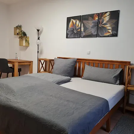 Gasthuis City Pension Zwickau Zwickau